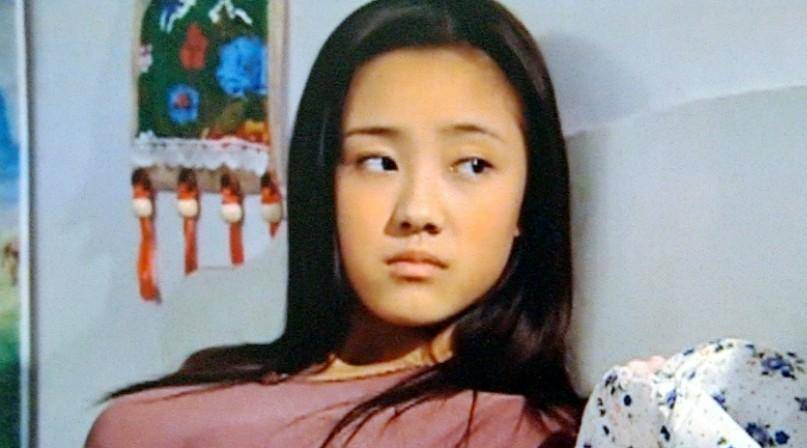 刘老根_系列_观众