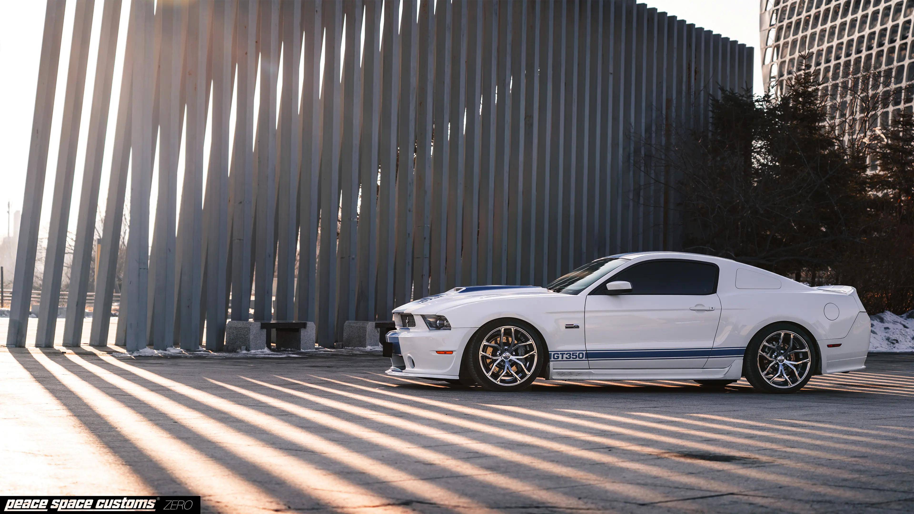 这只眼镜蛇没有毒性,但它一样会让你中毒_搜狐汽车_搜狐网