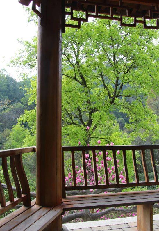 探索天竺公园一步一景感受大自然的魅力