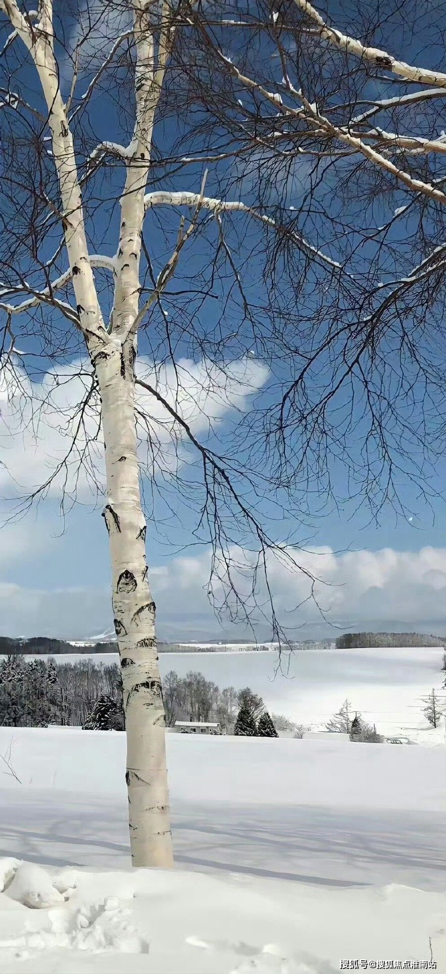 座谈会上,中建七局地产集团华东公司副总经理白鹏代表公司致欢迎辞,他