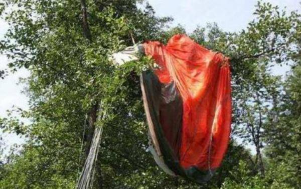 史上最倒霉的飞行员：跳伞被挂在树杈上70年，发现时全身长满藤蔓