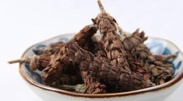 被人忽略的一味良药,春生夏亡,似"麦穗",可清泻肝火,降血压_枯草_植物