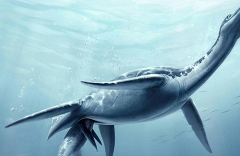 十大最大海洋恐龙图片