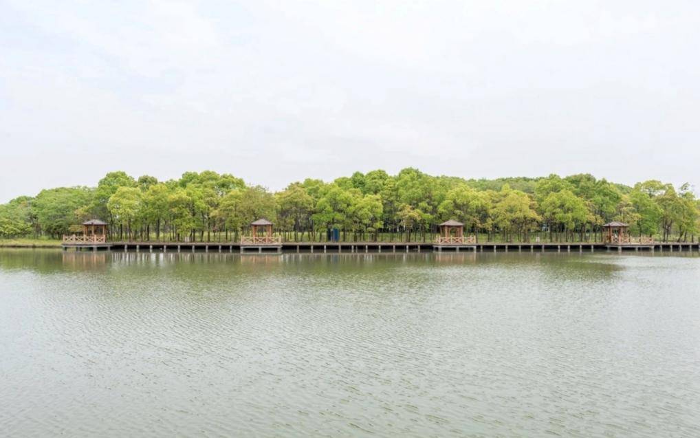 上海松江雪浪湖生态园太美了