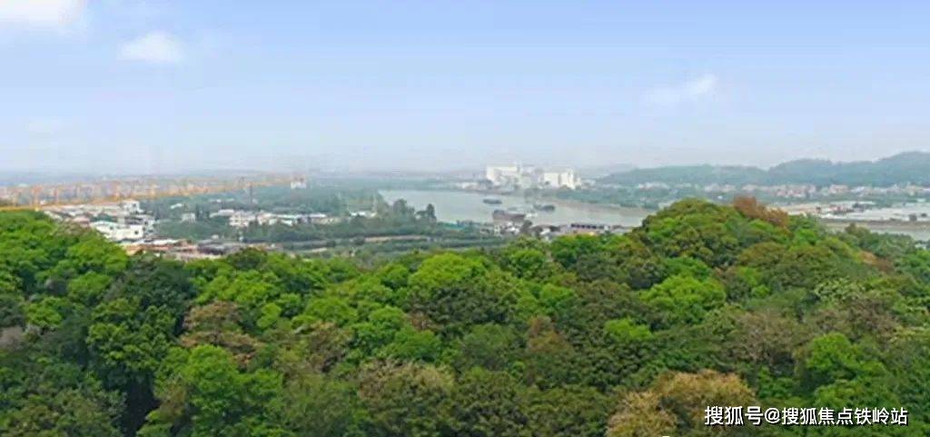 全齡八大核心景觀配套,自然會客廳,360°氧氣森林,2000方陽光草坪