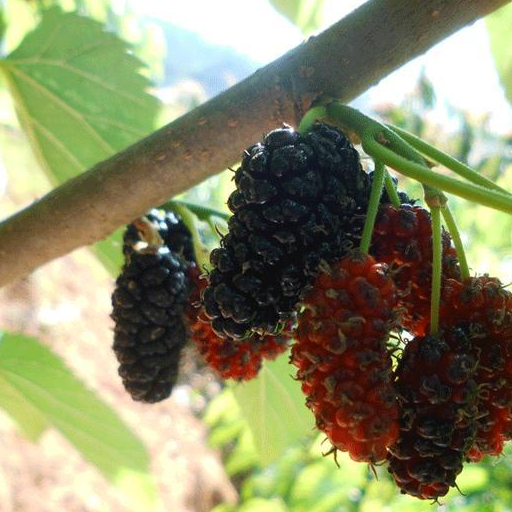 原创女人宫寒身体会出现这3个变化发现1个就要及时调理了