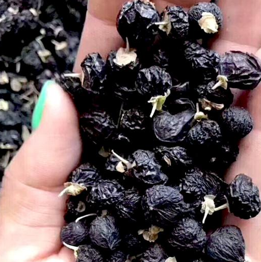 清肺王的天然食材长抽烟的人喝一杯肺部烟毒一扫而光