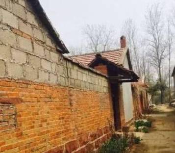 光鲜亮丽的明星回农村就打回原形李亚鹏才是书香门第