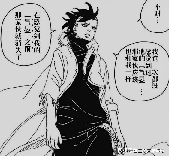 博人传第二部08:佐助,一式分裂体入侵木叶,向日葵