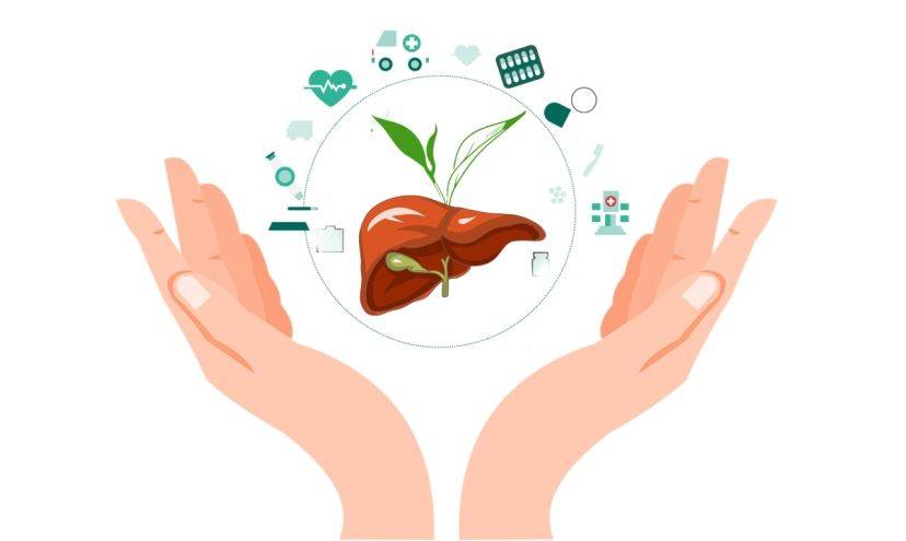 【全国爱肝日】呵护你的"小心肝"