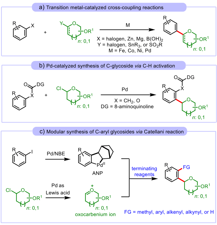 糖苷化糖化学领域的核心基石与灵魂支柱
