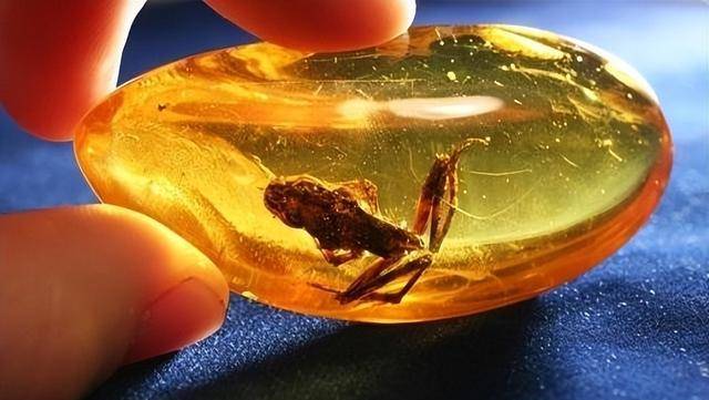 原创古代帝王为何不使用琥珀保存尸体不是不想而是技术有限