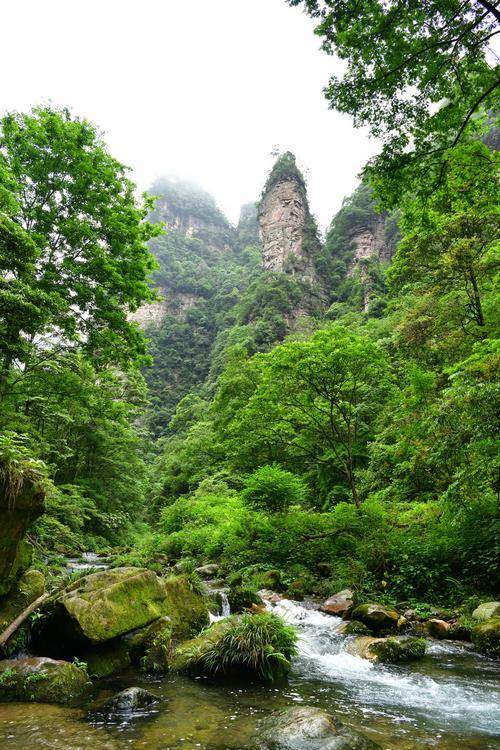 张家界5天1对1私人导游安排行程,金鞭溪五天旅游路线价格_景点_旅行