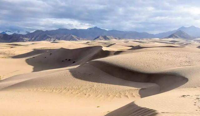 魏晋南北朝时期丝绸之路河南道交通路网都有哪些分道