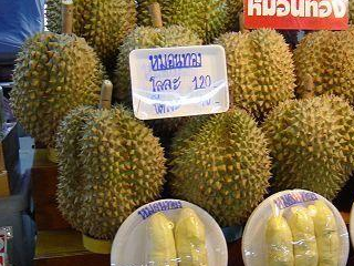 原创泰国榴莲35泰铢一斤而中国榴莲35元一斤为何价格相差这么多