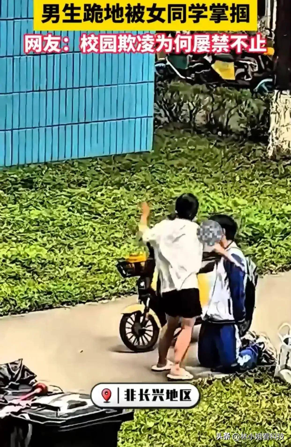 女生连扇跪地男生耳光学校回应正在处理此事