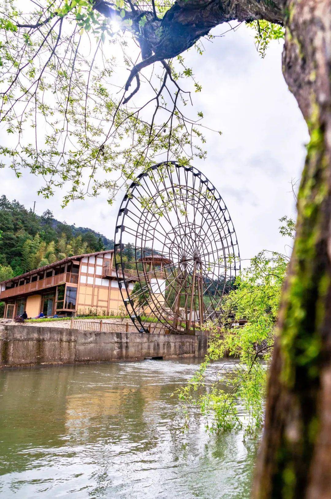 江西野狼谷 - 春日至,野狼谷邀你错峰出游"上春山"~_景区_活力_倒影