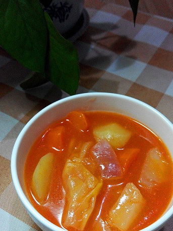 全素罗宋汤的做法简单易学好吃到停不下来