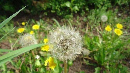 最新版下载安装;专业 3d三维建模,动画及渲染软件下载安装教程_蒲公英