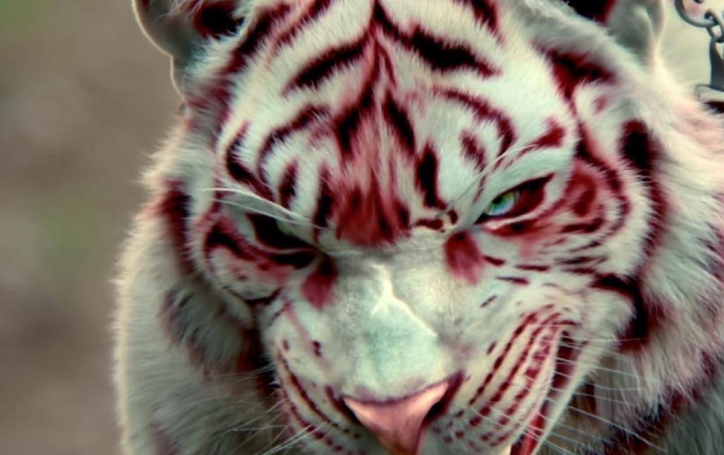 率先出场的虎,逼真,有电影的质感,黑龙的鳞甲和不s鸟的翎羽,皆非常