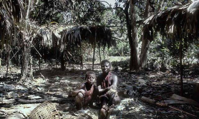 安达曼_群岛_尼科巴