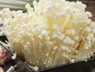 原创天然脑黄金金针菇和它做一起做色香味俱全给肉都不换