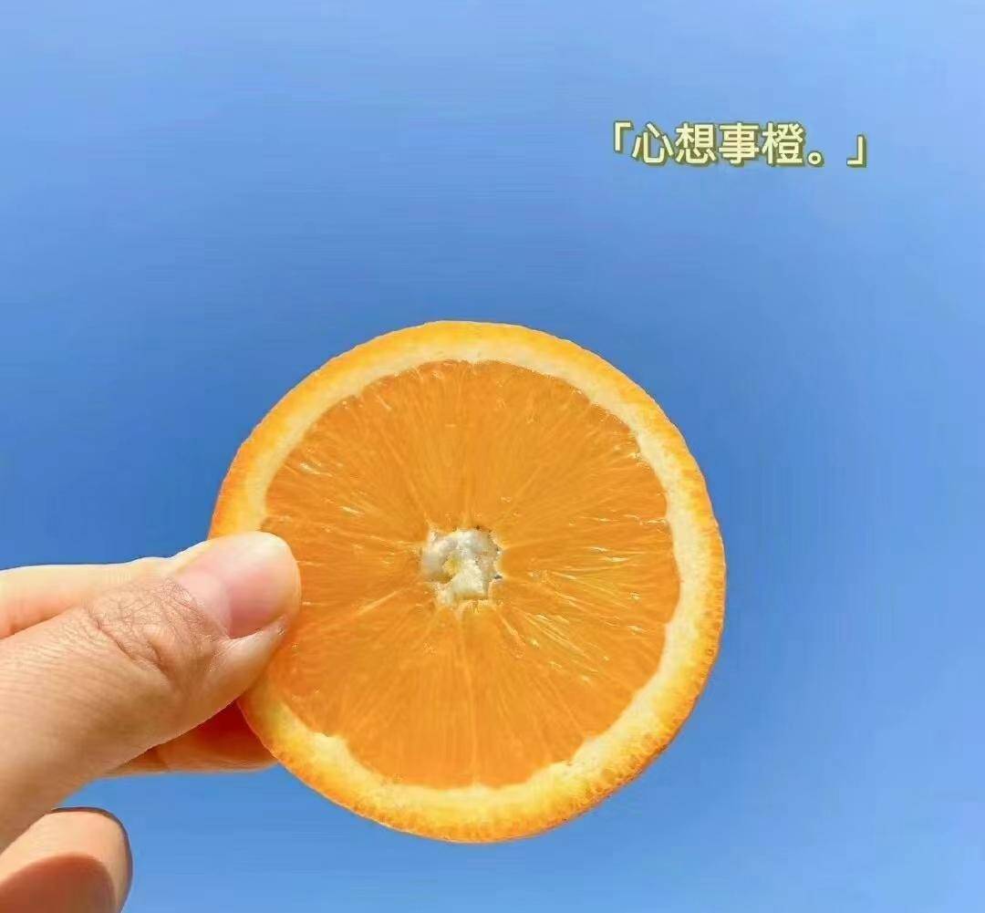 你呢时常觉得，他们是不是不懈努力都赚不出钱？(图6)