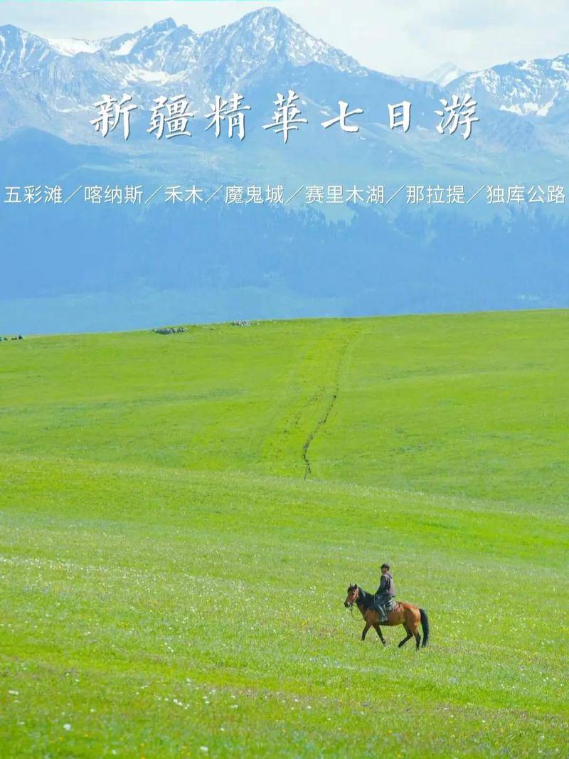 报团去新疆7天导游价格,新疆伊犁七天私人导游定制行程_旅游_阿林