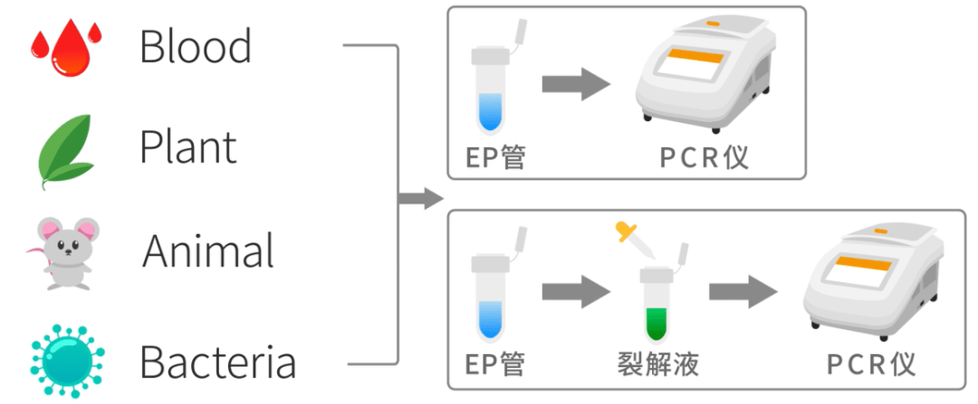 pcr是什么意思图片