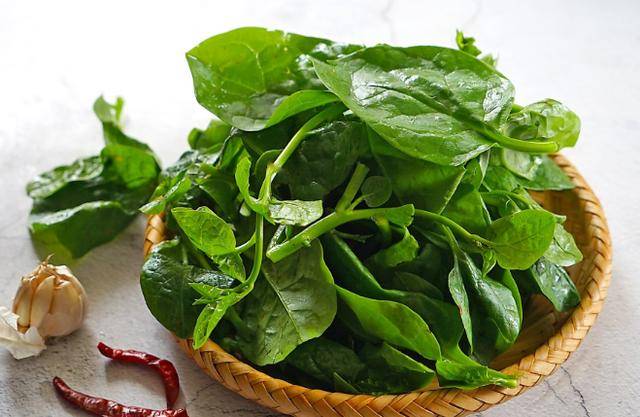 菠菜虽然营养但不能乱吃医生这几类人再馋也不要轻易下嘴