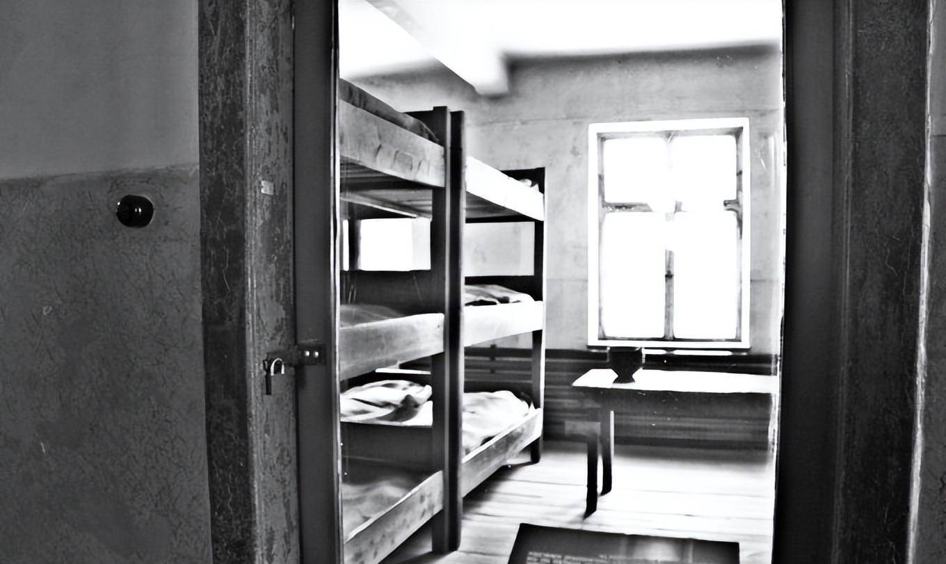 二战德国的人种试验他用双胞胎造狂战士却逃过惩罚