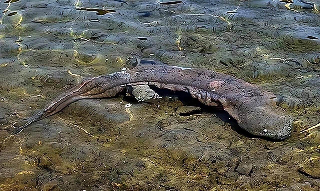 原创09年浙江深山半夜传来婴啼男子买下山上矿洞其妻调查发现端倪