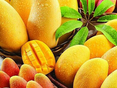 春季养生注重滋肝养胃,两种食材搭配,简单有效_芒果_功效_食用