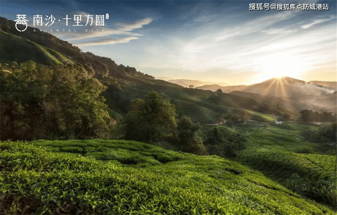 南沙十里方圆售楼处电话→南沙十里方圆售楼中心电话→楼盘百科详情→