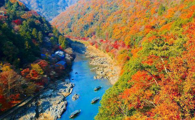 人群,自在赏樱,大啖梦幻咖啡美食 —— 京都深度漫游_樱花_岚山_日本