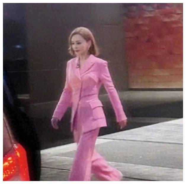 原创53岁雪姨参加浪姐拍照成天山童姥网友我竟是她姨