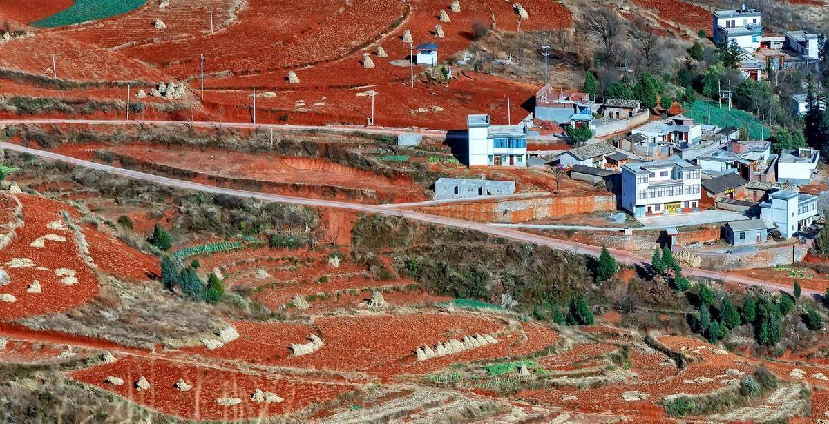东川红土地泛指的是以花沟村,花石头村为中心周围20多平方公里的红色