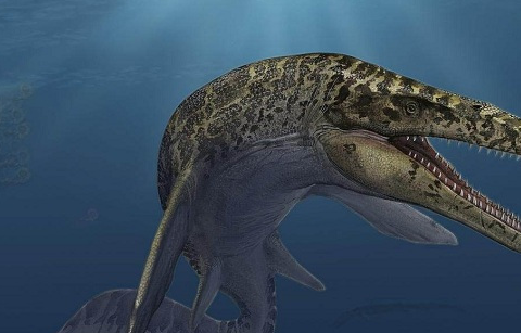 最强的海洋恐龙有哪些,海里面最厉害的恐龙你绝对不知道!