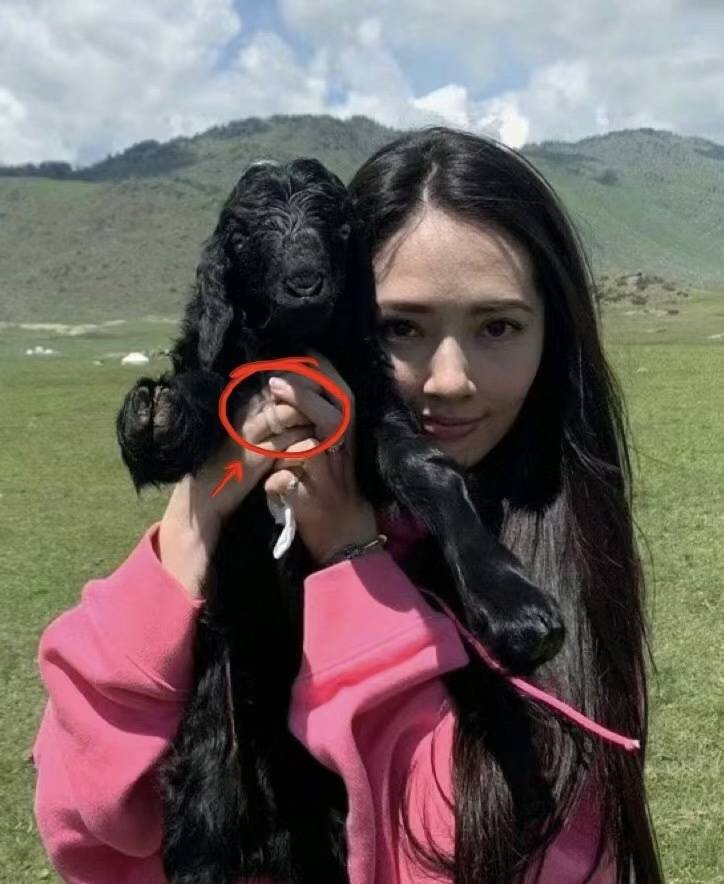 嫁入豪门婚姻的她参加《浪姐5》了,依旧造型优雅_郭碧婷_人们_网友