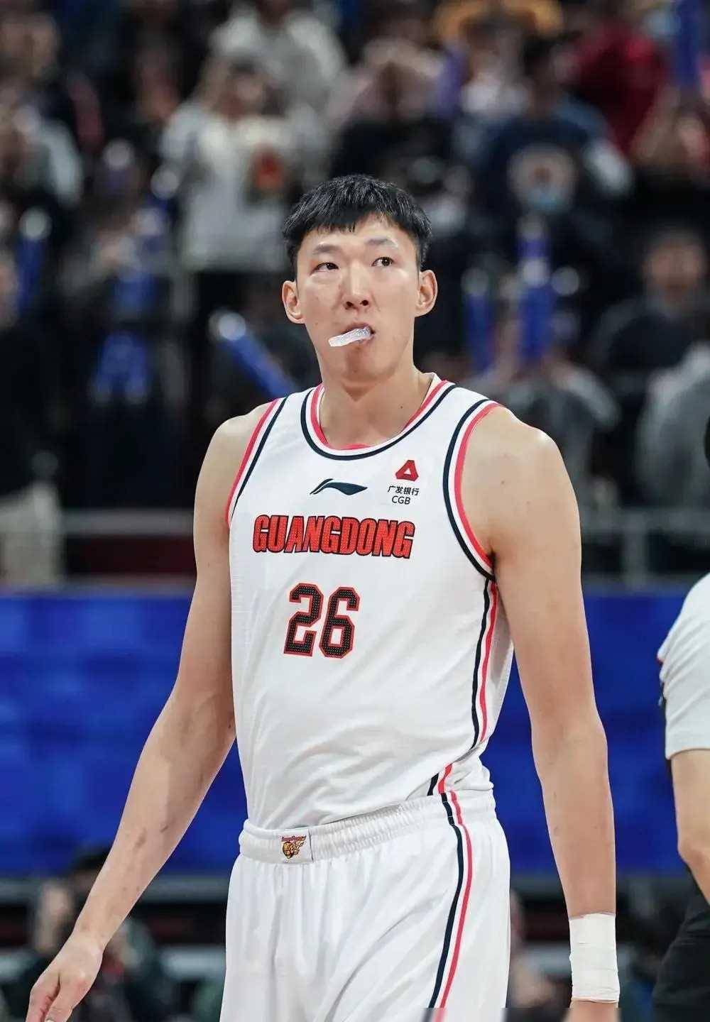 杜锋教练不换,广东男篮恐季后赛首轮出局_球员_周琦_排名