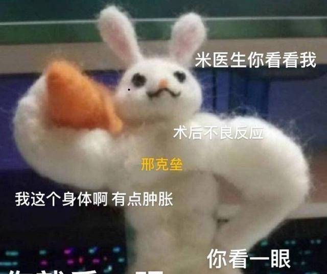 原创原创你是我的城池营垒太甜了邢克垒疯狂暗示米佧却无欲无求