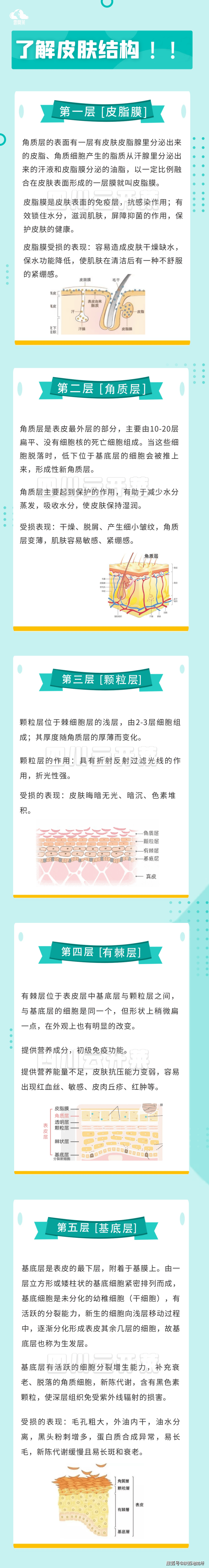 皮防科普皮肤的结构这些你都了解吗