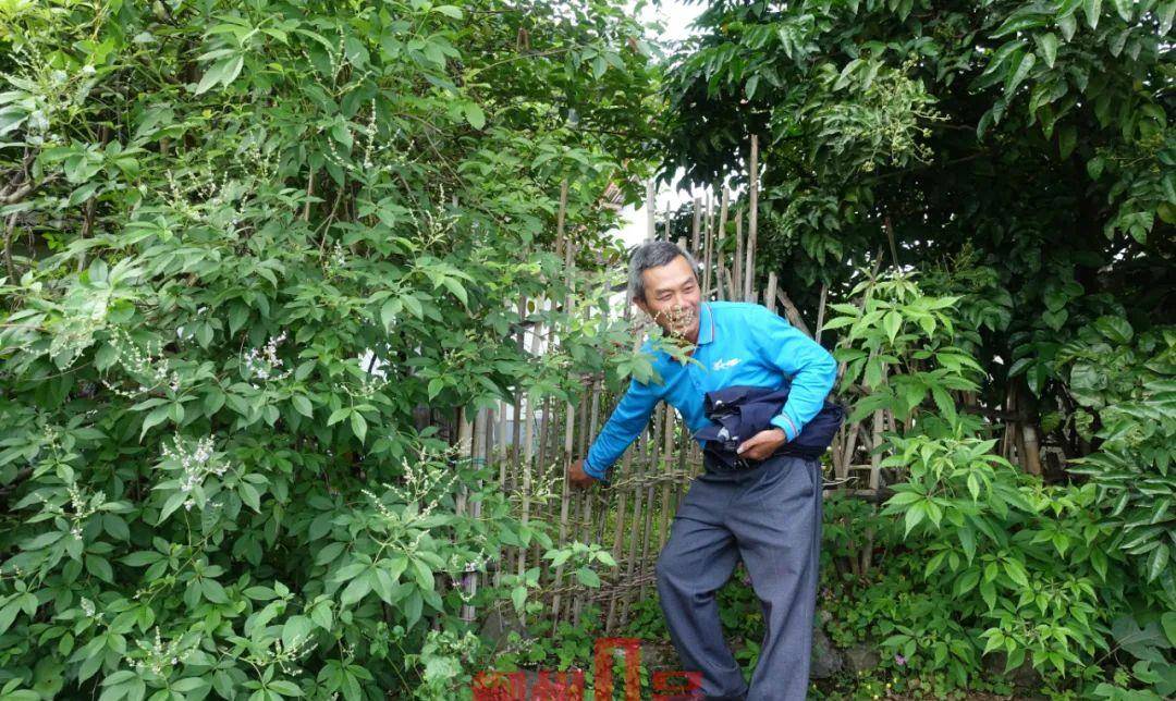 原创柳州这块石头背后藏着一起骇人听闻的杀戮事件