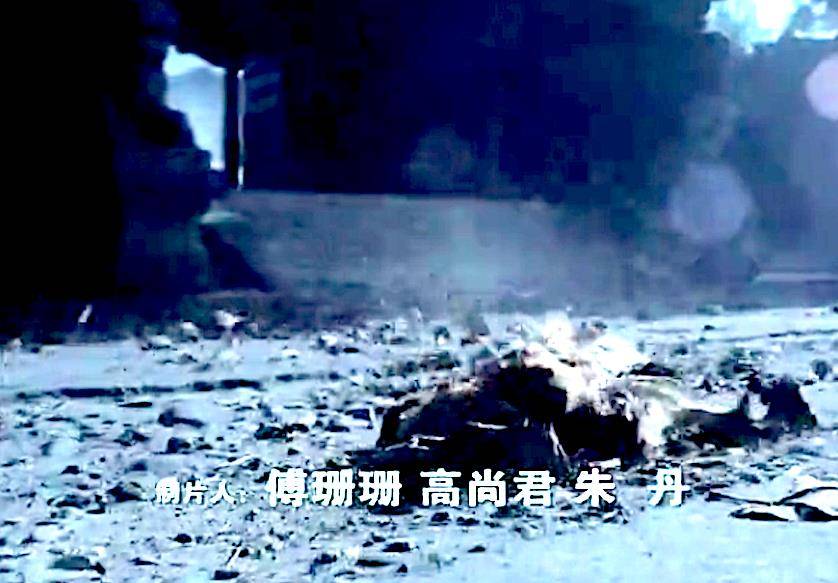 原创高尚君还珠格格柳青的扮演者陆诗雨执导电影狐女