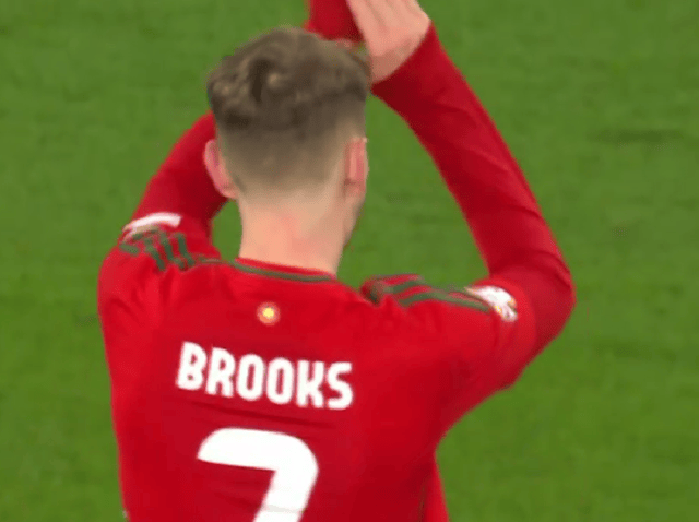 原创41后威尔士进欧洲杯附加赛决赛下轮对阵波兰再赢就晋级