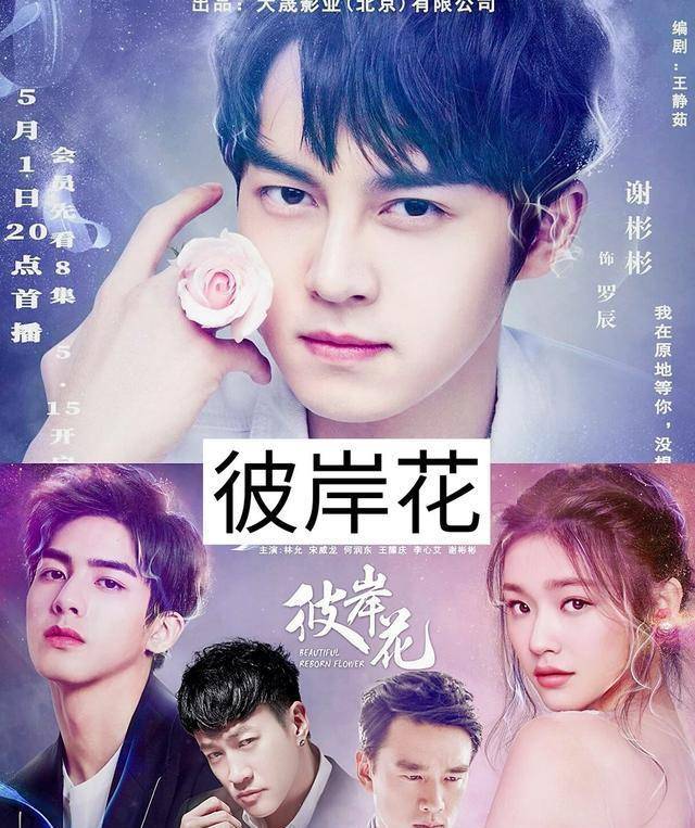 原创12部谢彬彬出演的影视剧你看过哪几部最喜欢哪一部