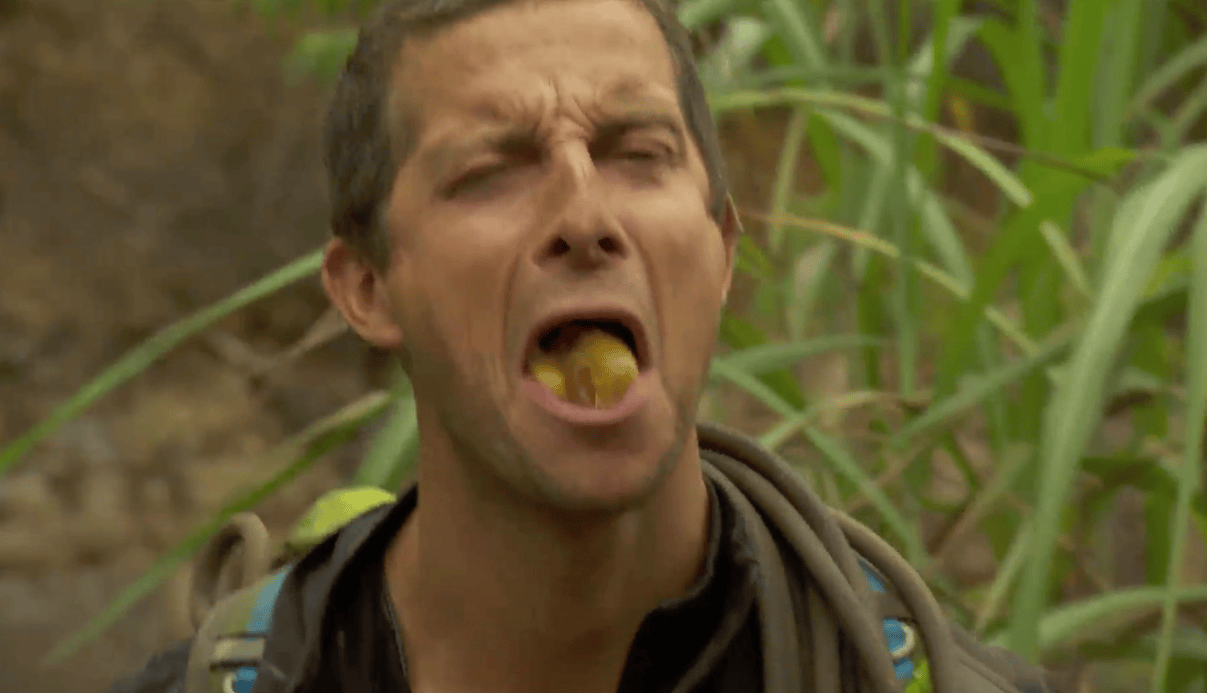 食物链顶端的男人也翻车揭秘贝尔与明星们的荒野奇遇记