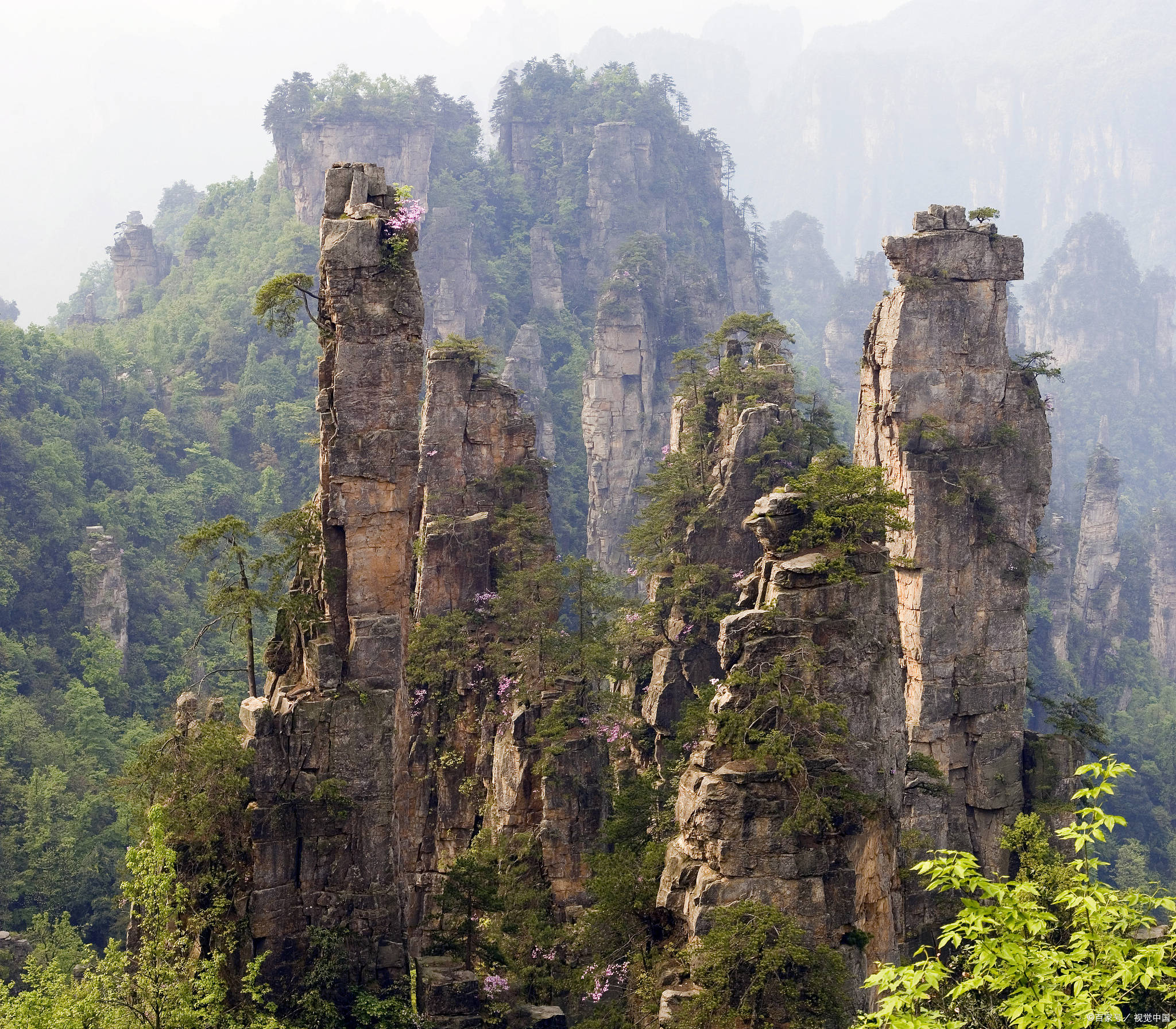 张家界风景图真实图片