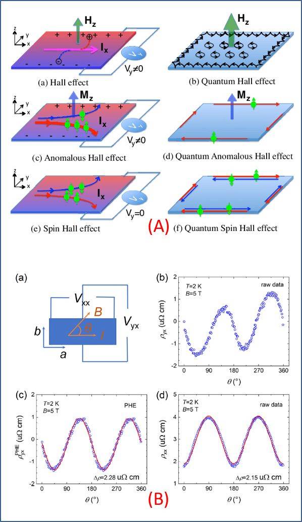 探测笼目av3sb5输运的又一维度