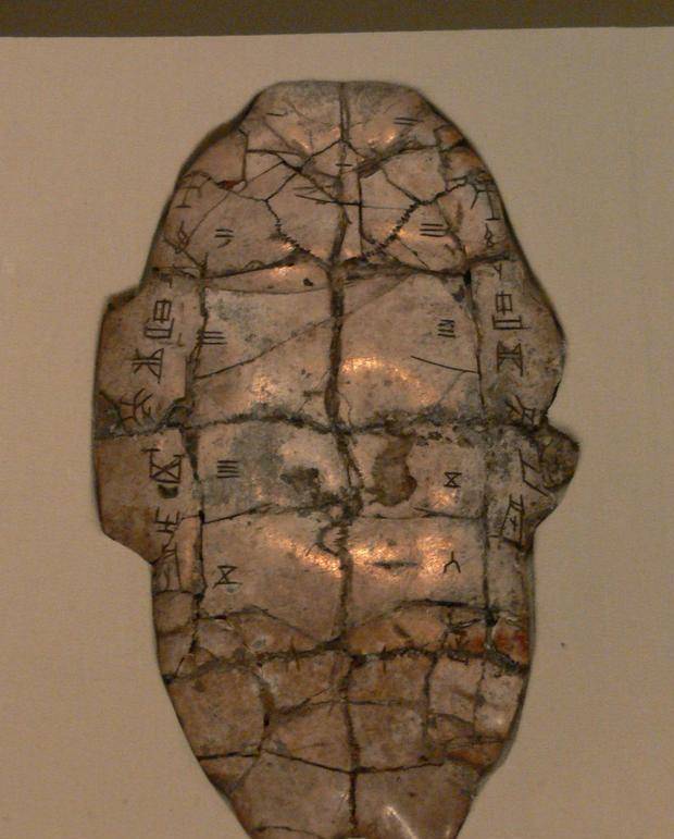 看看原材料就明白了_金疮_龙骨_剃头